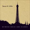 Steven M. Miller: Between Noise and Silence