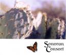 Todd Hammes: Sonoran Consort