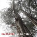 David Crowell: Eucalyptus