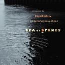 David Kechley: Sea of Stones