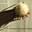 Jerome Kitzke: The Character of American Sunlight